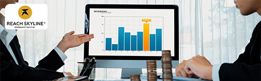 Optimizing Pricing Strategies for Maximum Profitability